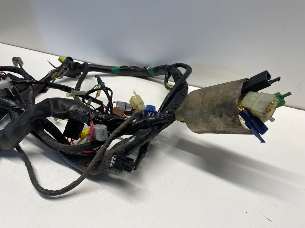 OEM Wiring Loom Harness Honda CBF600 2004 - 2007