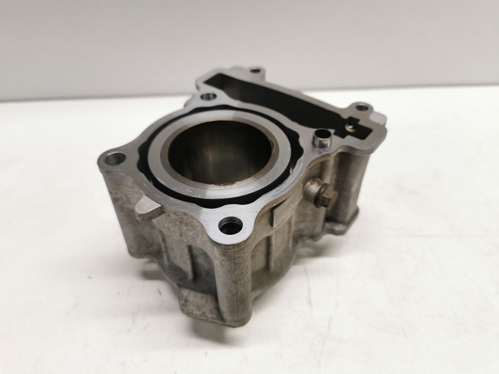 Naraku Cylinder Barrel Yamaha YZF R 125 & MT125 2014 - 2018