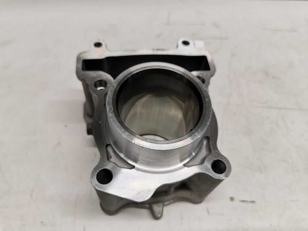 Naraku Cylinder Barrel Yamaha YZF R 125 & MT125 2014 - 2018