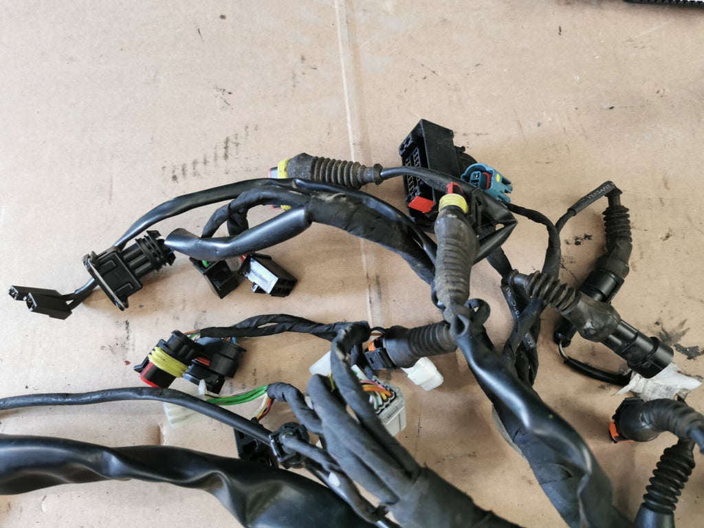 Wiring Loom Harness Moto Guzzi V85 TT 2020