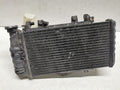 Radiator + Fan BMW F800 S ST 2008 (2006 - 2010)