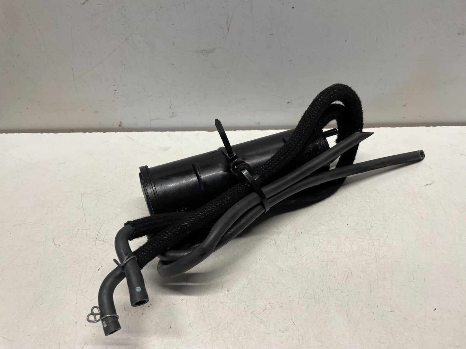 Carbon Canister Yamaha XSR 700 2016 - 2020