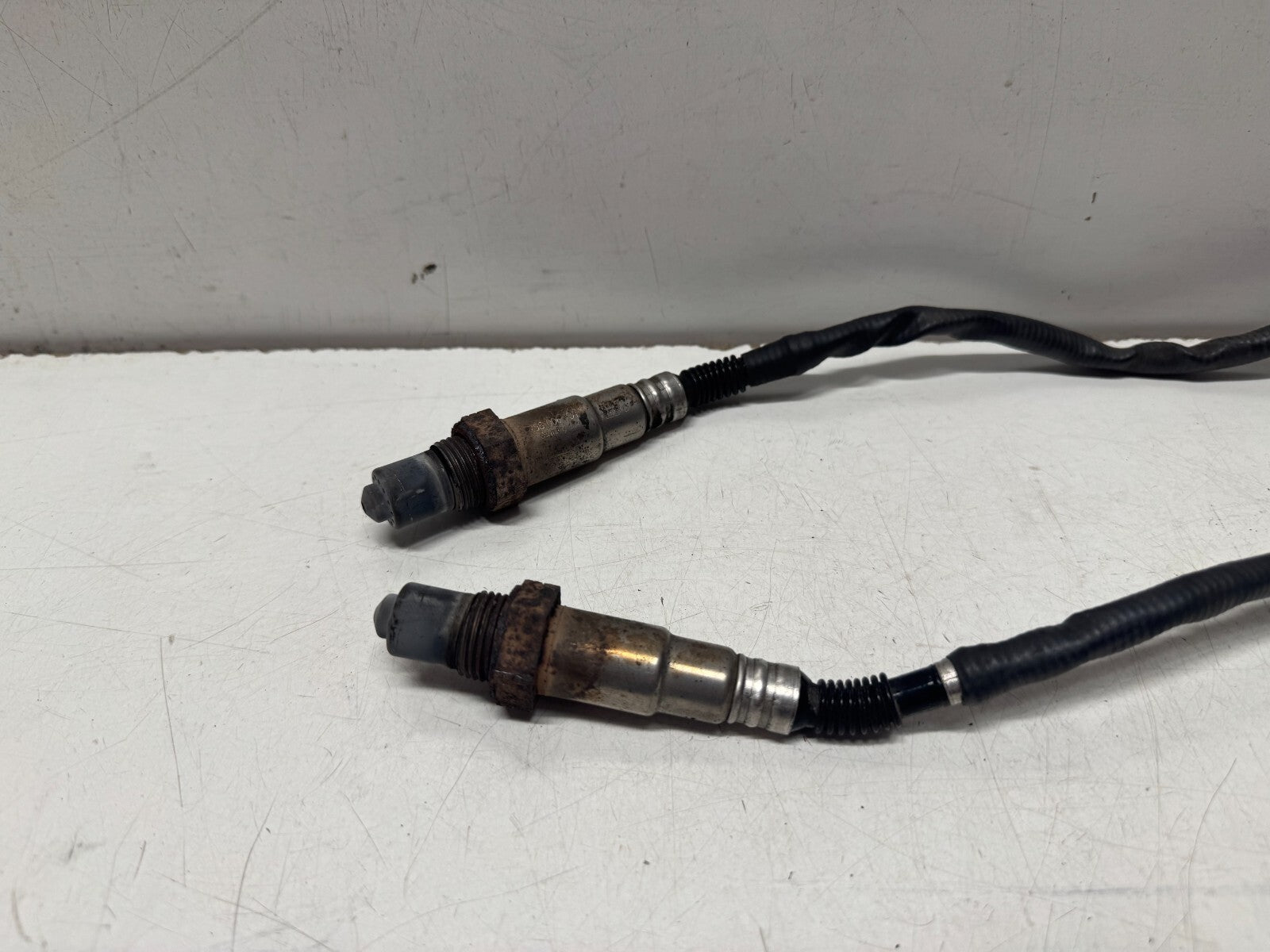 Lambda O2 Sensor Moto Guzzi V85 TT 2020