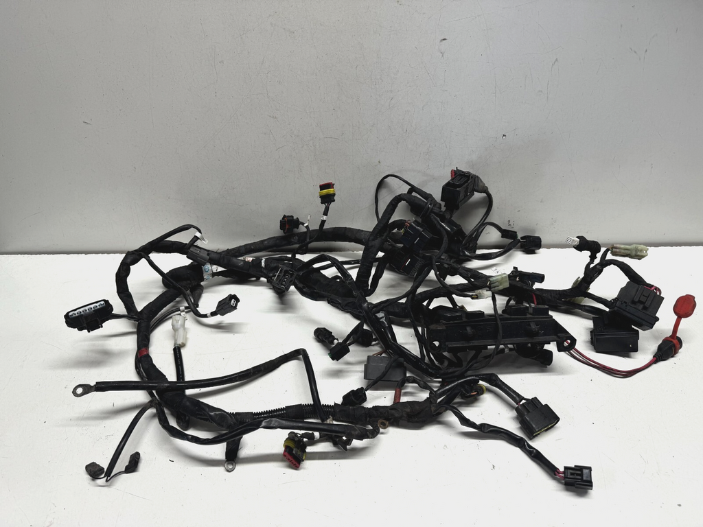 Wiring Loom Harness Ducati 1200 Diavel 2011 (2011 - 2014)