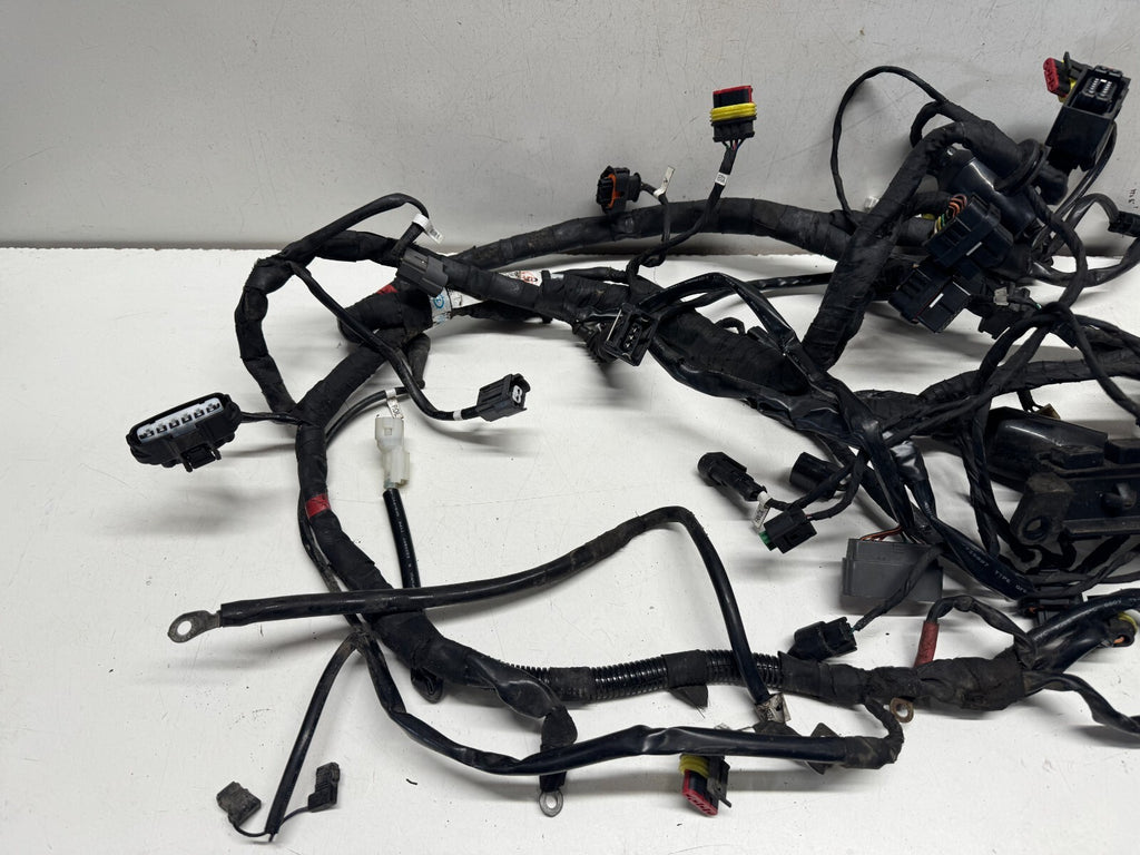 Wiring Loom Harness Ducati 1200 Diavel 2011 (2011 - 2014)