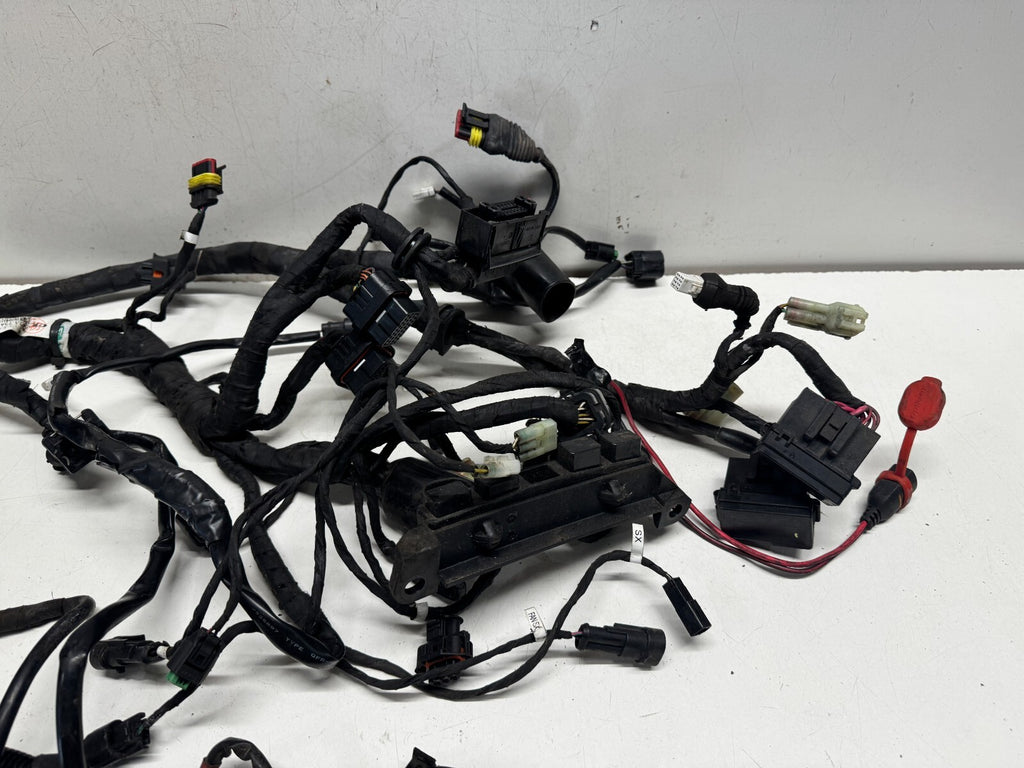 Wiring Loom Harness Ducati 1200 Diavel 2011 (2011 - 2014)