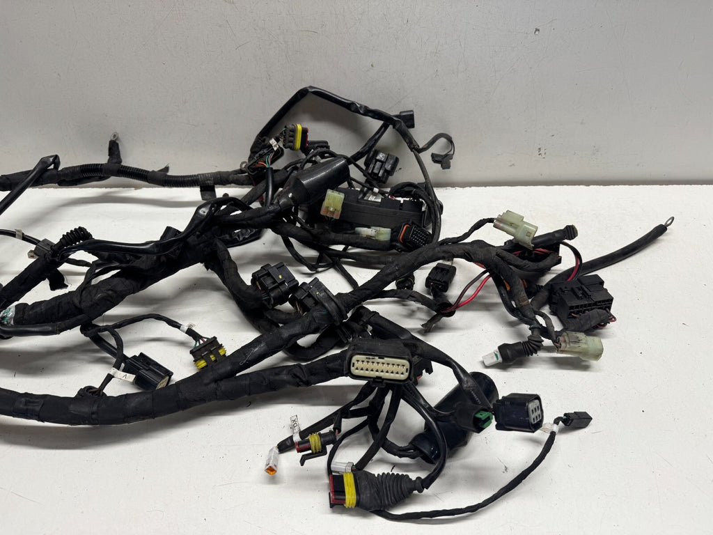 Wiring Loom Harness Ducati 1200 Diavel 2011 (2011 - 2014)