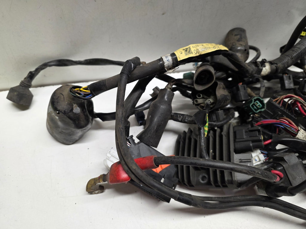 2011 Yamaha Super Tenere XT 1200 Z Wiring Loom Harness
