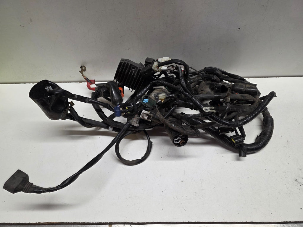 2011 Yamaha Super Tenere XT 1200 Z Wiring Loom Harness