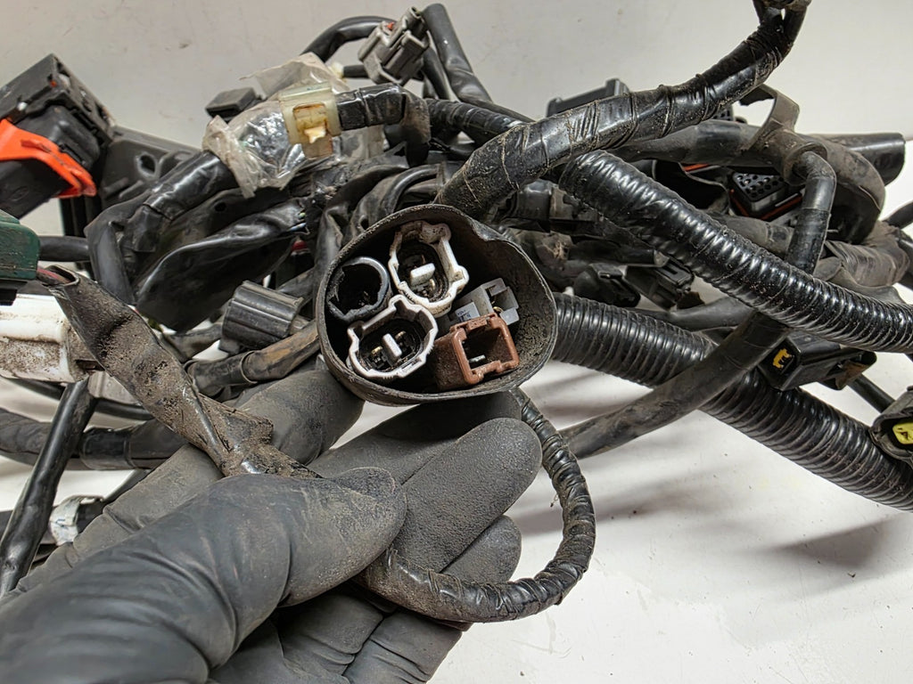 2011 Yamaha Super Tenere XT 1200 Z Wiring Loom Harness