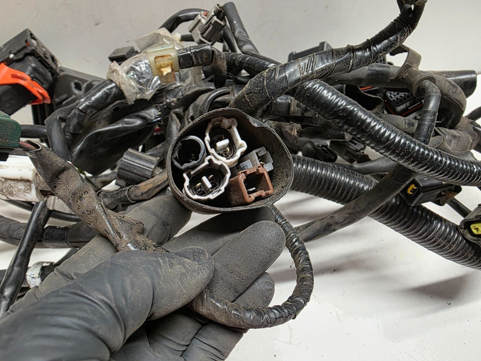 2011 Yamaha Super Tenere XT 1200 Z Wiring Loom Harness