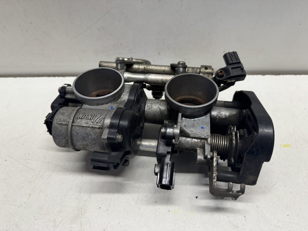 2011 Yamaha Super Tenere XT 1200 Z Throttle Bodies