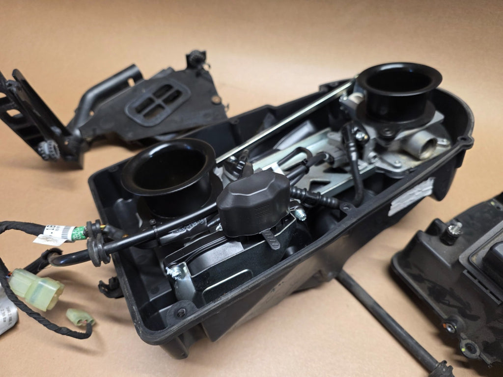 Ducati Monster 821 2014 (2014 - 2016) OEM Airbox & Throttle Bodies