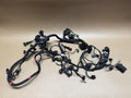 Ducati Monster 821 2014 (2014 - 2016) Wiring Loom Harness