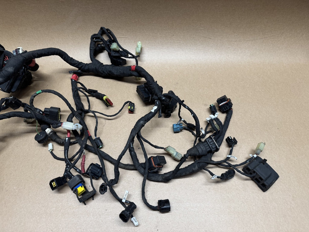 Ducati Monster 821 2014 (2014 - 2016) Wiring Loom Harness