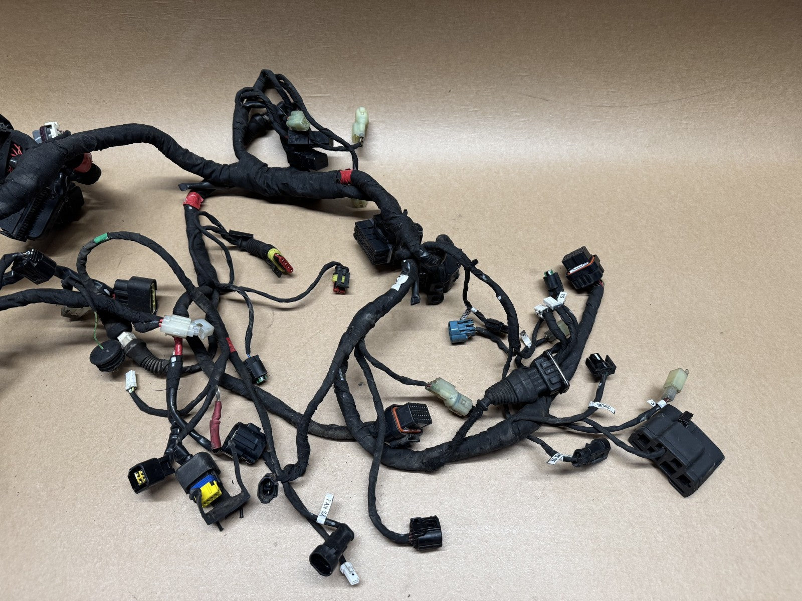 Ducati Monster 821 2014 (2014 - 2016) Wiring Loom Harness