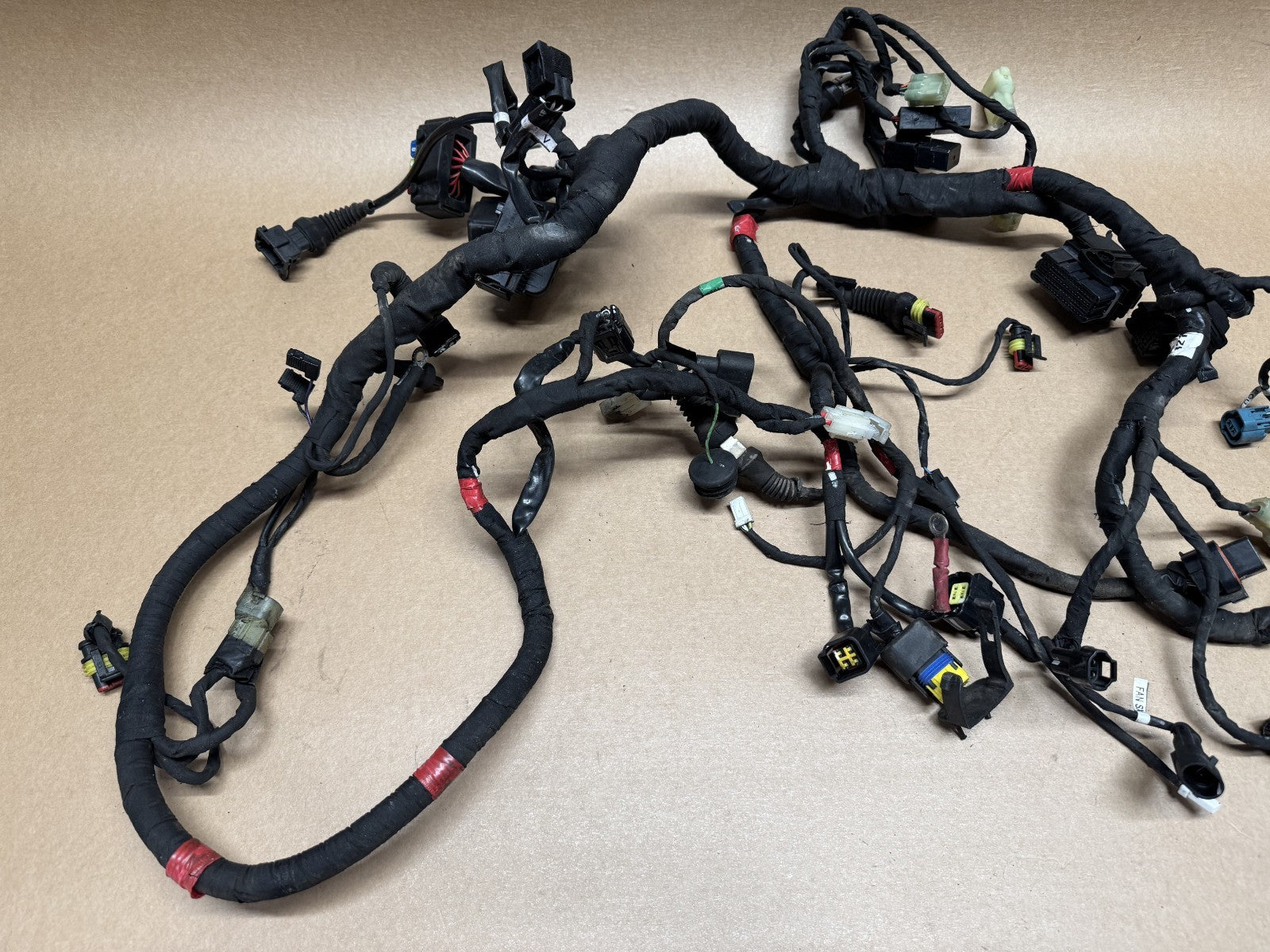 Ducati Monster 821 2014 (2014 - 2016) Wiring Loom Harness