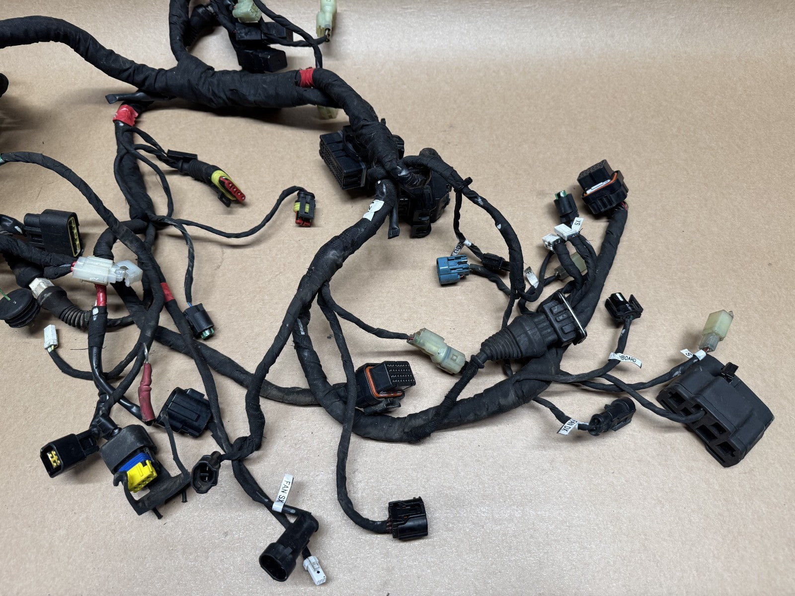 Ducati Monster 821 2014 (2014 - 2016) Wiring Loom Harness