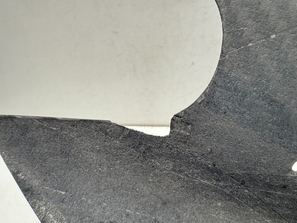 Carbon Rear Fender Mudguard Ducati 1200 Diavel 2011 (2011 - 2014)