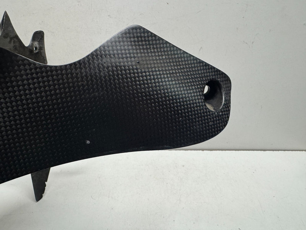 Carbon Rear Fender Mudguard Ducati 1200 Diavel 2011 (2011 - 2014)